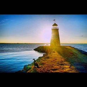 Meet your Posher, Arianne